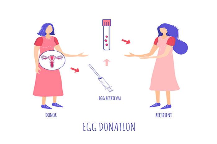 Everything about IVF with Donor Egg
