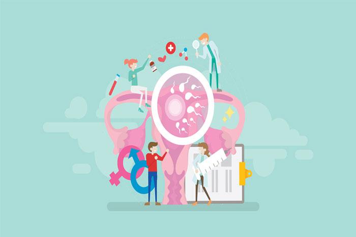 Things To Keep In Mind Before You Opt For IVF